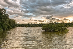 20150708_18 22